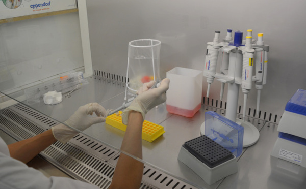 Maladies infectieuses : le Pacifique fait le point en Polynésie