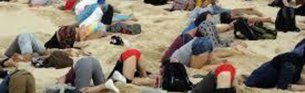 Climat: des "autruches" humaines la tête dans le sable à Sydney pour alerter le G20