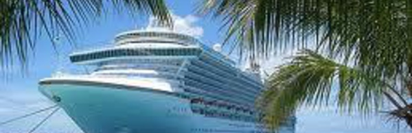 Epidémie de norovirus sur un bateau de croisière dans le Pacifique, 172 malades