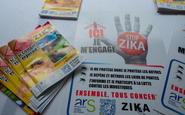 Dengue, Zika, chikungunya: vers une "augmentation des cas" en France