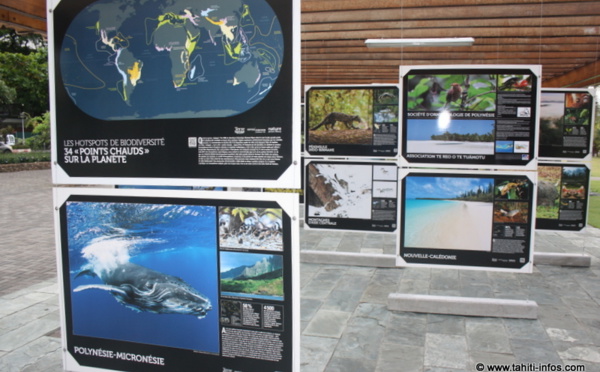 Les 34 merveilles du monde naturel en photos aux Jardins de Paofai