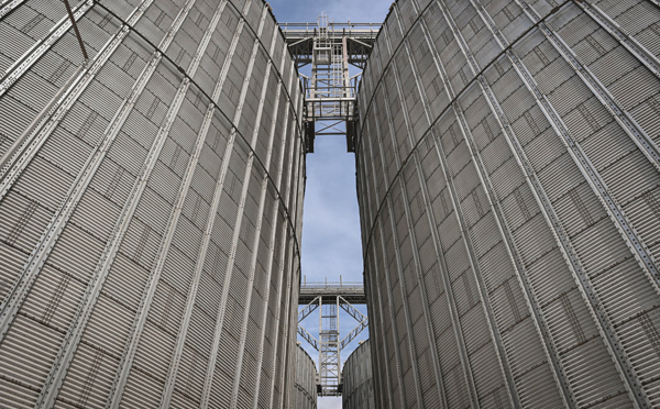 Céréales interdites en Pologne : négociations entre Kiev et Varsovie pour sortir de l'impasse