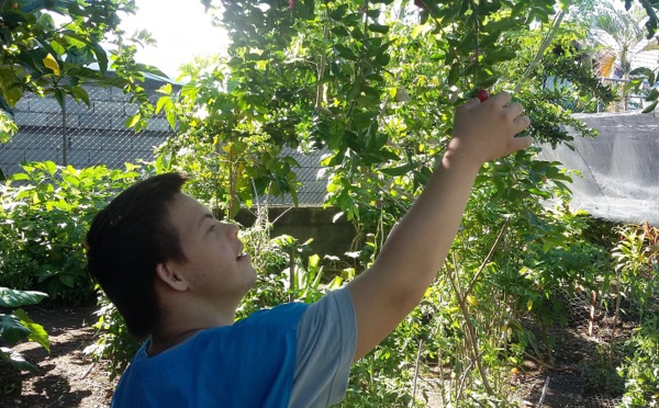 Fa'a'apu du cœur, l'opération solidaire débute le 25 avril pour un mois