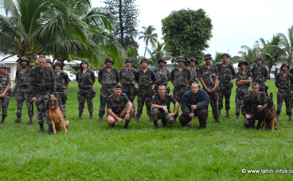 Ils font leur stage de troisième à l'armée
