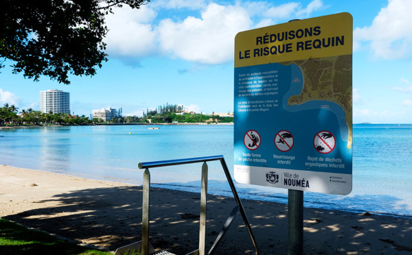 Requins en Nouvelle-Calédonie: baignade réautorisée sur une seule plage de Nouméa