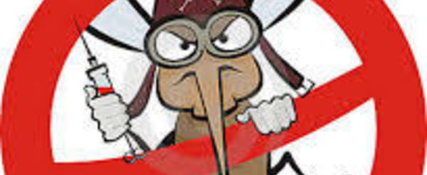 Narration: Jack Neuf Huit, auteur alité à Moorea, décrit la crise du Chikungunya