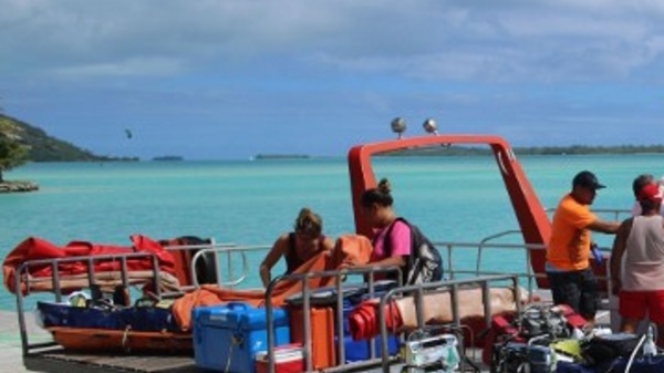 Les tavana hau peinent à trouver leur place