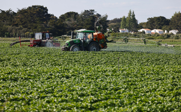 Sénat: un texte controversé pour un "choc" de compétitivité de l'agriculture
