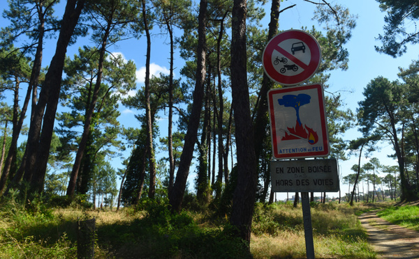 L'Assemblée nationale étend l'interdiction de fumer dans les bois et forêts