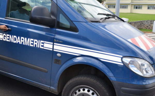 Pueu : un homme de 25 ans interpellé après un important dispositif de recherches 