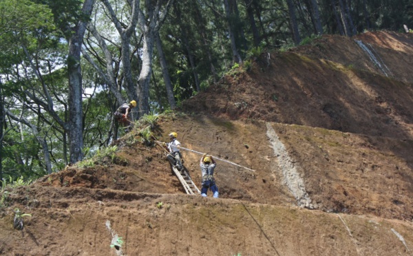 L'emploi salarié en hausse en novembre
