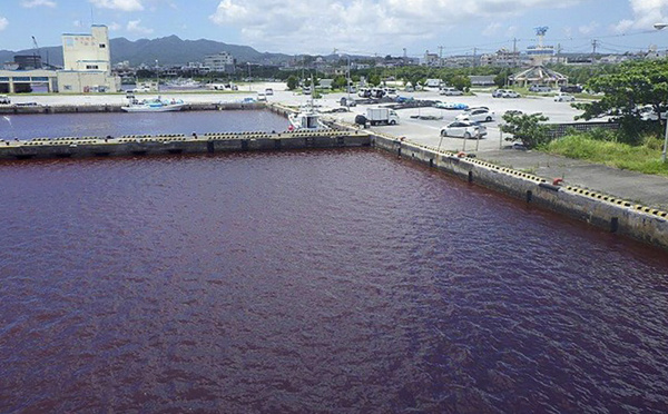 Japon: un lac rouge sang près d'une brasserie sème l'émoi