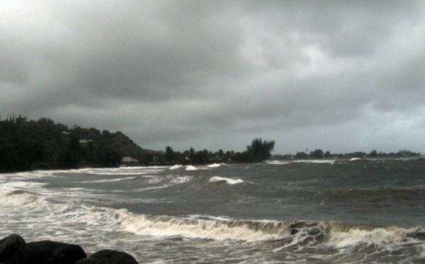 "Risque très important d'épidémie de leptospirose"