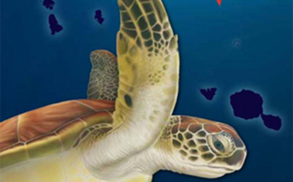 Te Mana o te Moana réédite en tahitien son livret sur les tortues marines