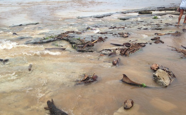 Punaauia : le lagon du PK 18 s'envase