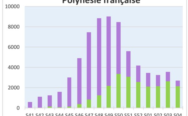 L'épidémie de chikungunya en phase de décroissance