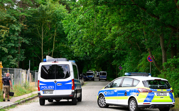 Fin d'alerte à Berlin, la lionne était probablement un sanglier
