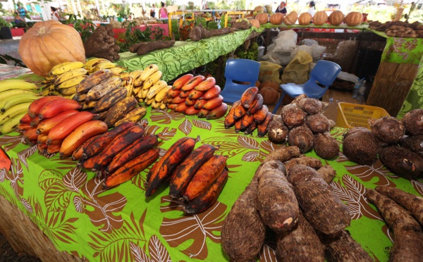 Aides à la relance à l’agriculture : commission d’attribution des aides Ara