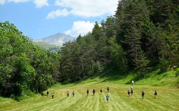 Disparition d'Emile: des chiens et des drones de nouveau déployés au Vernet