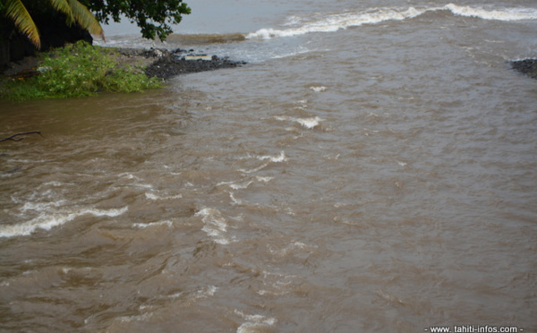 Epidémie de leptospirose déclarée en Polynésie française