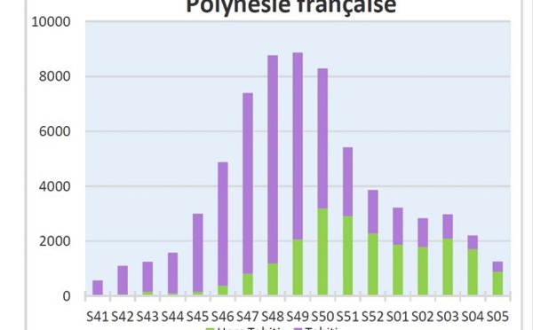 Le chikungunya en nette décroissance : deux fois moins de cas déclarés en une semaine