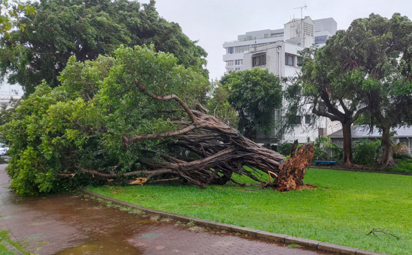 Japon: un mort et 200.000 foyers toujours sans électricité au passage d'un typhon à Okinawa