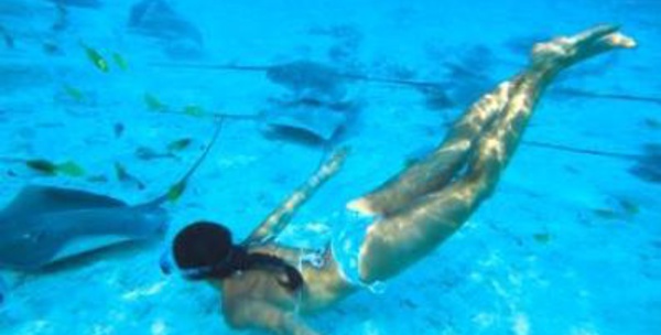 Développement économique : Notre niche touristique sera-t-elle "l'écolo-chic" ?