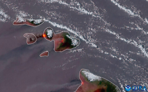 Au moins six morts dans l'archipel d'Hawaï, ravagé par de multiples incendies