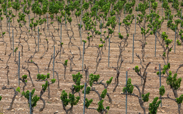 Les nappes phréatiques toujours à sec malgré les pluies estivales