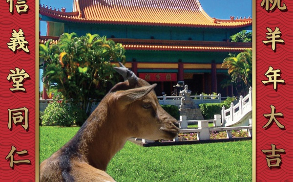 Le programme du nouvel an chinois : ce jeudi nous célébrons l'année de la chèvre !