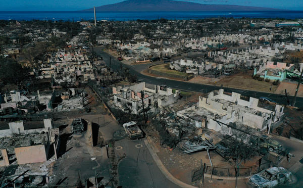 A Hawaï comme dans l'Ouest américain, les incendies carburent aux herbes envahissantes