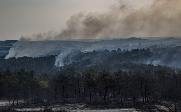 Grèce: 18 migrants présumés retrouvés morts dans un feu de forêt