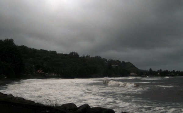 Leptospirose : quatre nouveaux cas en deux semaines