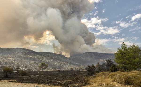 Incendies de forêt en Grèce : au moins 150.000 hectares touchés