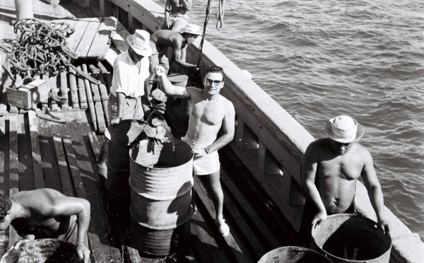 Avant-première du documentaire « Poe rava, histoire d’une perle », réalisé par Philippe Fréling