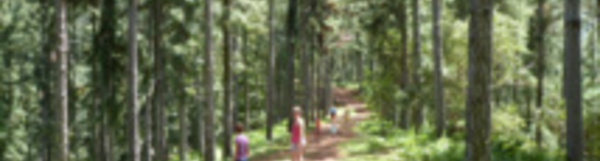 Vous voulez devenir guide de randonnée ? Inscrivez-vous avant vendredi