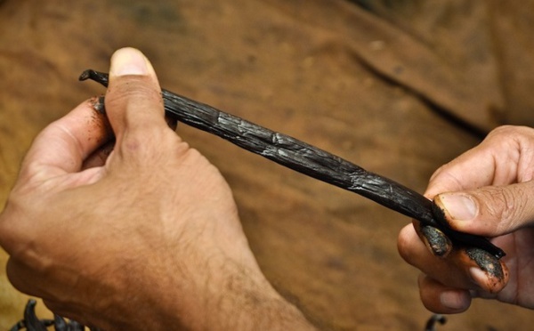 Hotu Vanilla rafle une nouvelle médaille d'or au concours agricole national à Paris