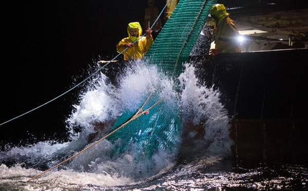 Dauphins: le gouvernement envisage des dérogations pour les fermetures de pêches hivernales