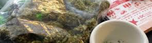 Les premiers joints se sont, légalement, allumés à Washington