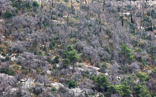 Dans le nord du Liban, pénuries d'eau et feux de forêt inquiètent les habitants