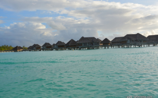 Bora Bora : Il se tue en plongeant sur une patate de corail