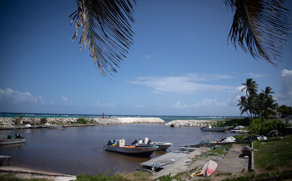 Homme tué par un harpon à Marie-Galante: un suspect mis en examen et écroué
