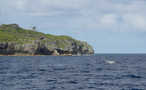 Une petite île du Pacifique appelle aux dons en ligne pour protéger ses eaux