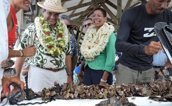 La recherche scientifique pour relancer la perle (diaporama et image interactive)