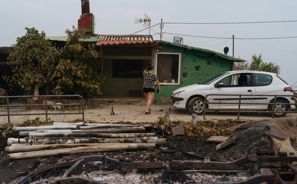 Espagne : l'incendie qui a ravagé l'île de Tenerife en août a repris