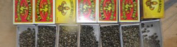 La Croix-Rouge part en bataille contre le paka et l'alcool