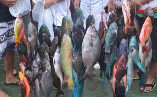 Pêche sous marine : Les champions de Polynésie par équipes 2014 connus