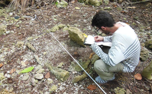 Tetiaroa dévoile ses secrets grâce aux archéologues