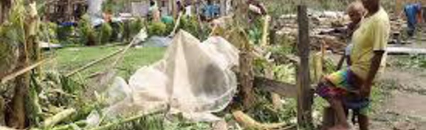La Nouvelle-Calédonie envoie 800 kilos de semences au Vanuatu
