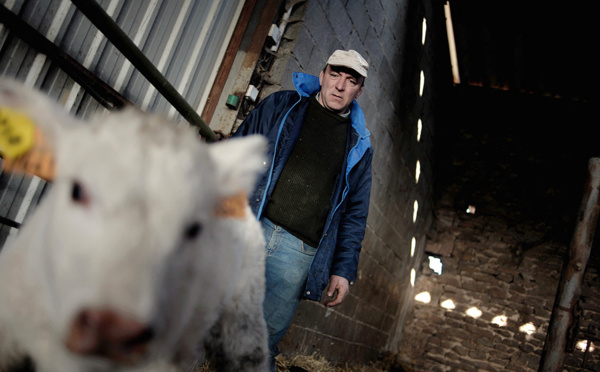 Maladie touchant les bovins: "tempête sanitaire" dans le sud-ouest qui attend des aides